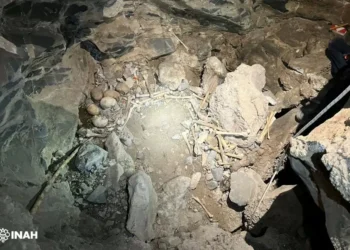 Nuevo saqueo de restos arqueológicos en Coahuila; INAH resguarda restos óseos