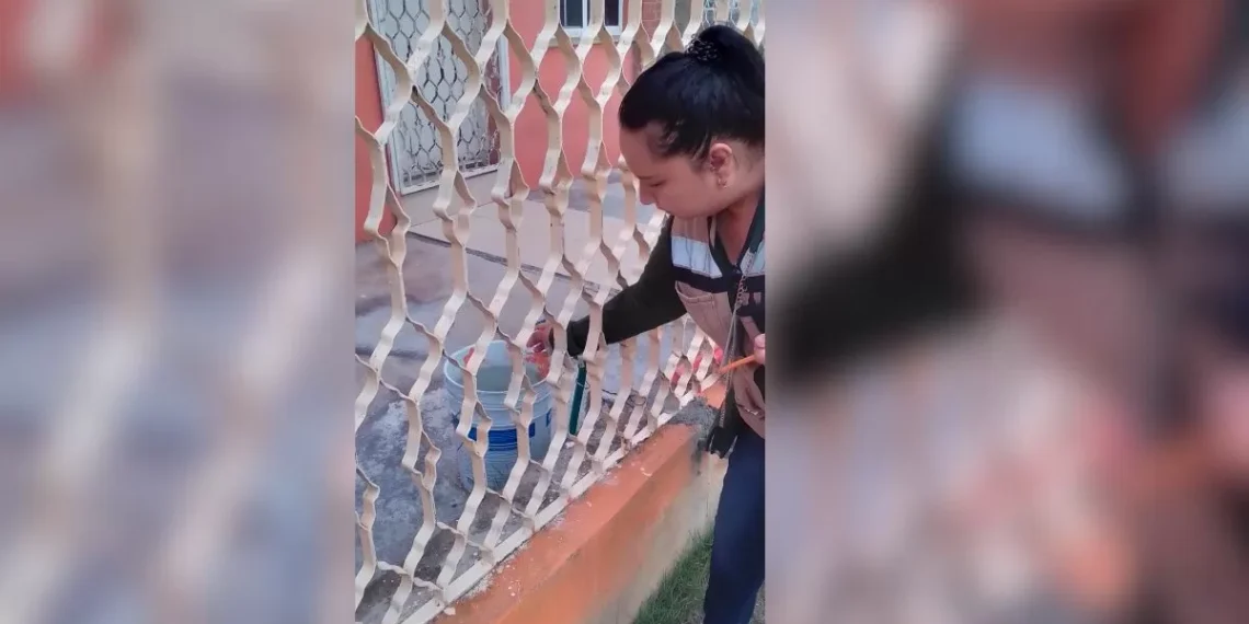 Preocupa a lozanía el dengue por las lluvias en la Región Centro
