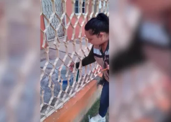 Preocupa a lozanía el dengue por las lluvias en la Región Centro