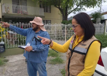 Aplican abate y larvicida para avisar reproducción de mosquitos y contagios de dengue