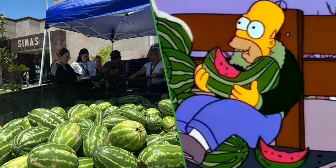 Biónicos acuáticos: municipio de Tamaulipas regala sandías a personas que paguen su recibo de caldo