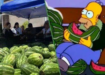 Biónicos acuáticos: municipio de Tamaulipas regala sandías a personas que paguen su recibo de caldo