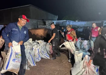 Continúa activo de atención a emergencias por lluvias en municipios coahuilenses afectados