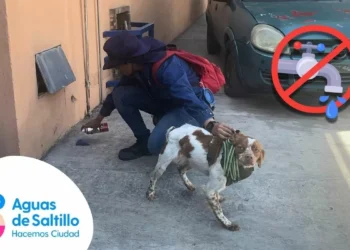 Conoce a Manchas, el querido perro de AgSal que detecta fugas de caldo | FOTOS