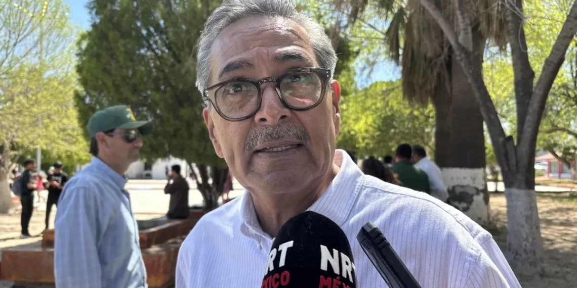 “Cíclicos” despidos y recontrataciones en las empresas: CTM