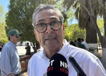 “Cíclicos” despidos y recontrataciones en las empresas: CTM