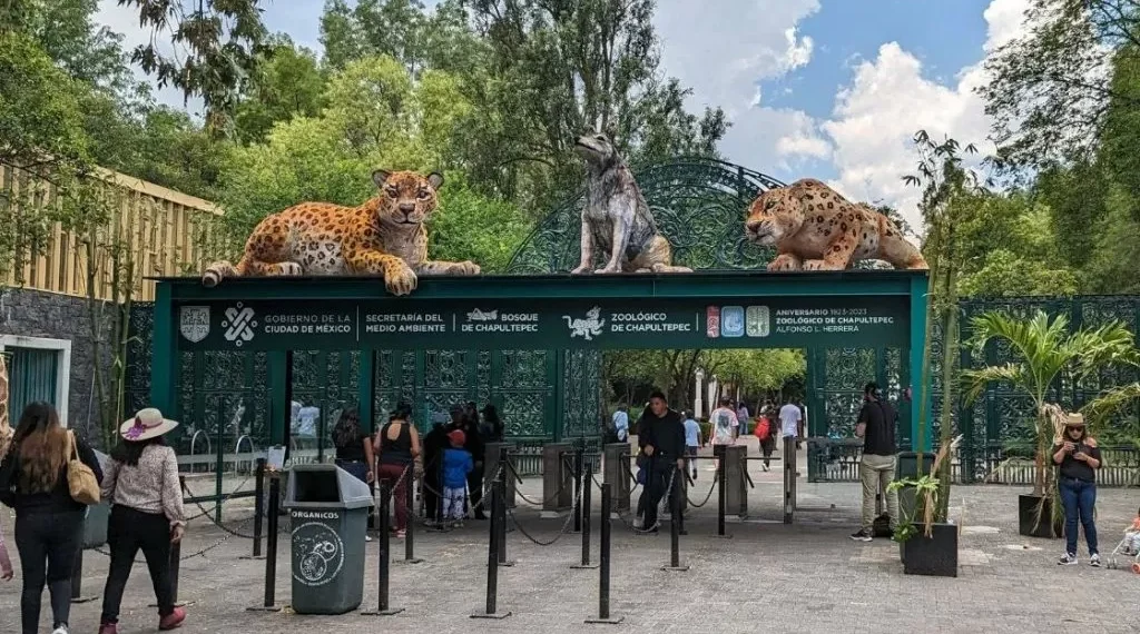 Opacidad y muertes en zoológicos de la CDMX