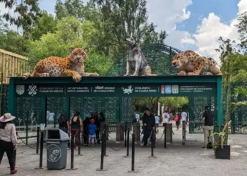 Opacidad y muertes en zoológicos de la CDMX
