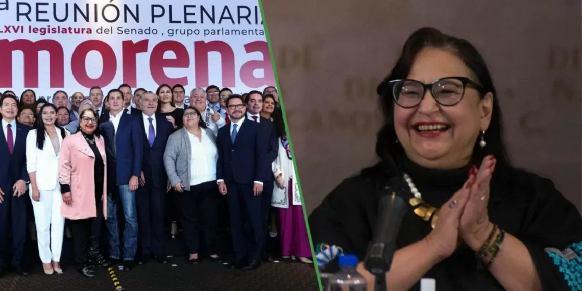Morena concede militancia a exministra Norma Piña