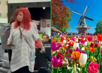 Layda Sansores aclara que fue a Ámsterdam para traer tulipanes a Campeche
