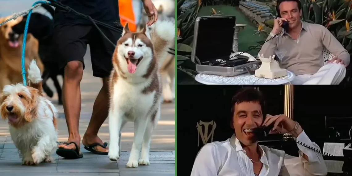 Un trajín de esos: paseador de perros confiesa que gana más de 60 mil al mes