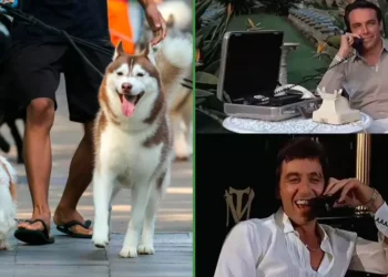 Un trajín de esos: paseador de perros confiesa que gana más de 60 mil al mes