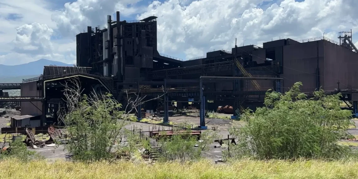 Retraso en puja de AHMSA por avalúo sería de 3 a 15 días