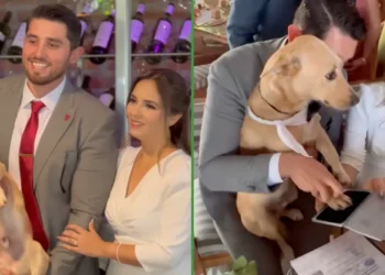 Hasta que el ladrido los separe: perrito firmó como “testimonio” el acta de matrimonio de sus dueños