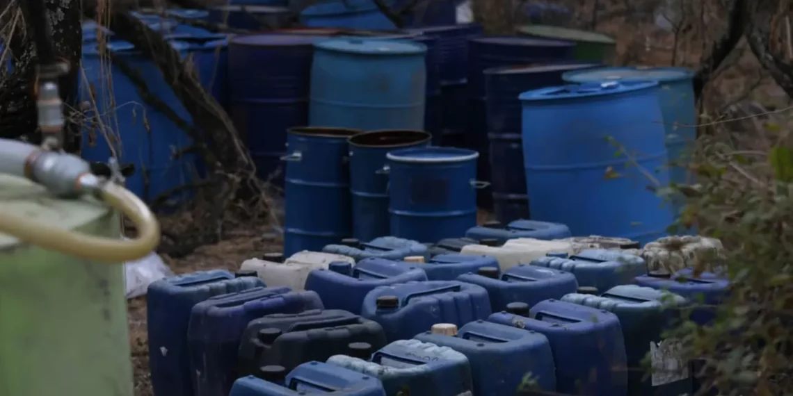 Durango, segundo estado con más aseguramiento de narcolaboratorios