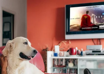 Sindicato de Perrhijos da día de asueto para poder admirar Superman en la casa con sus dueños