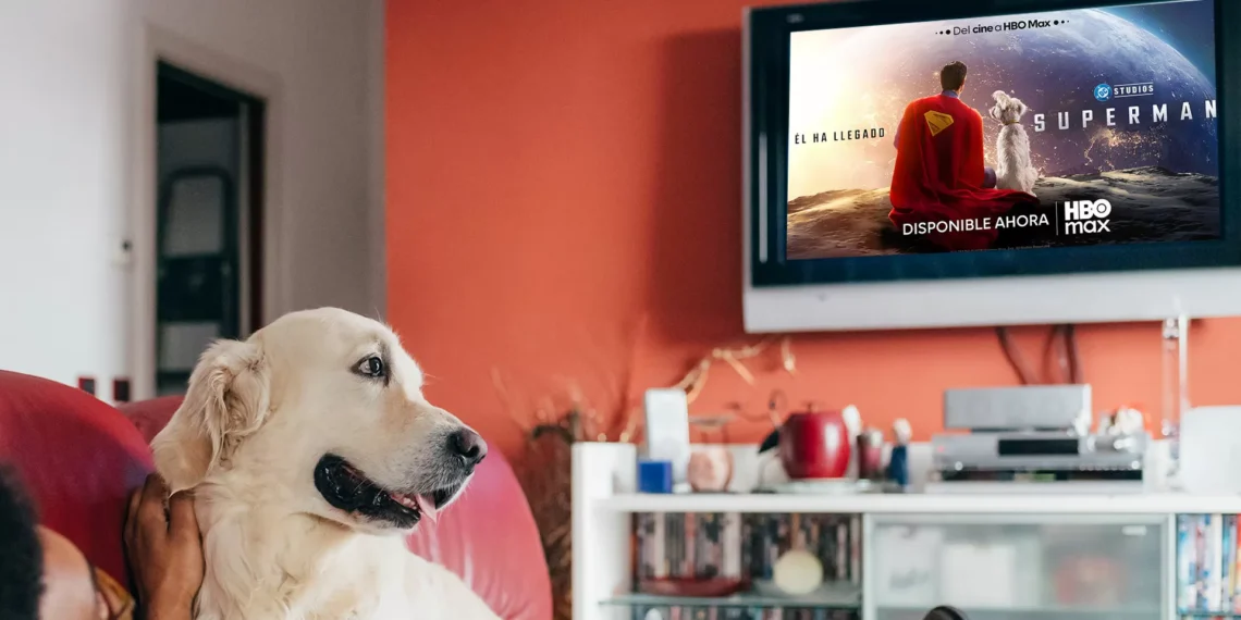 Sindicato de Perrhijos da día de asueto para poder admirar Superman en la casa con sus dueños