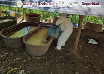 Desmantelan laboratorios clandestinos en Durango; estiman golpe al narco de 6 mil mdp