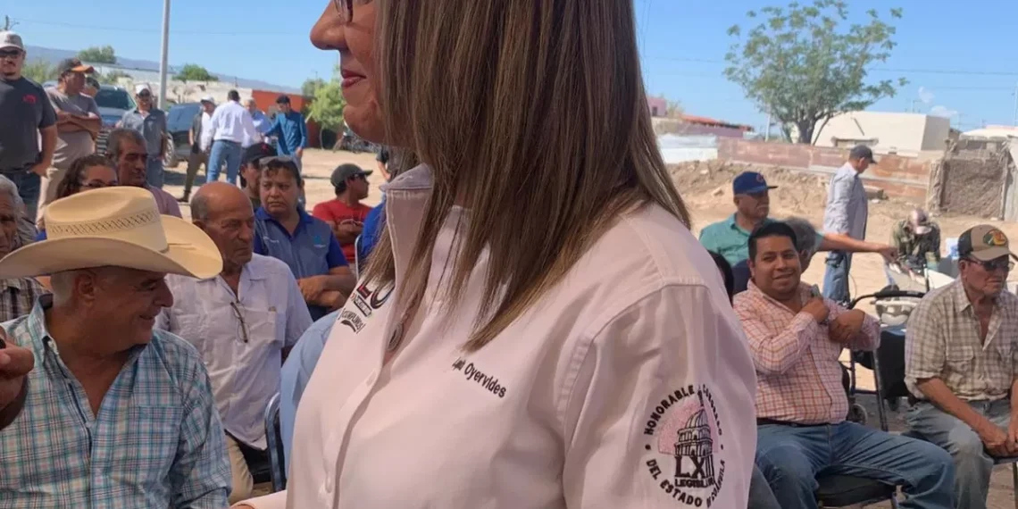 Reforma electoral reduce edad para contender como diputado local