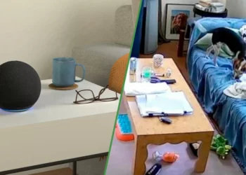 Un perrito aprendió a pedirle canciones a Alexa y en la vida podemos con tanto