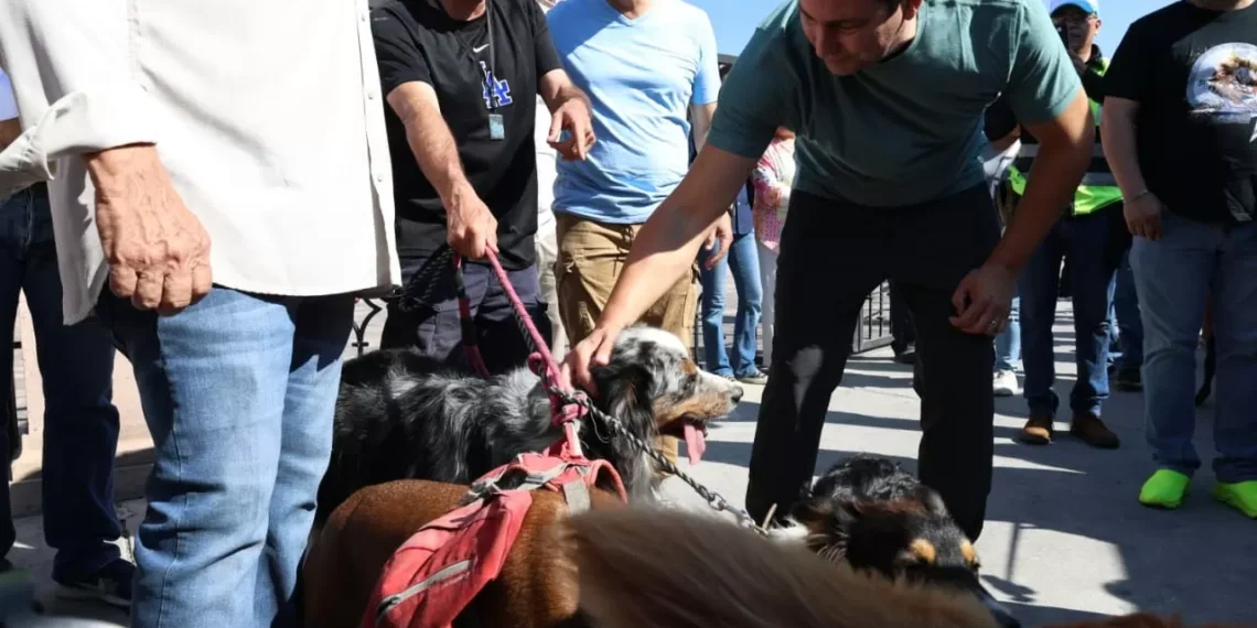 Inauguran Quirófano Móvil en Saltillo para esterilizar y atender mascotas