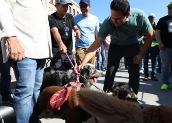 Inauguran Quirófano Móvil en Saltillo para esterilizar y atender mascotas