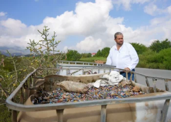 Ofrecen en Ramos Arizpe 50 mil pesos para localizar a ecocidas