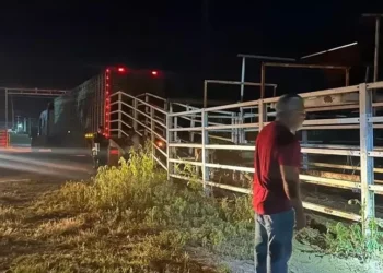 Señalan productores irregularidades en guía de hato asegurado en Castaños