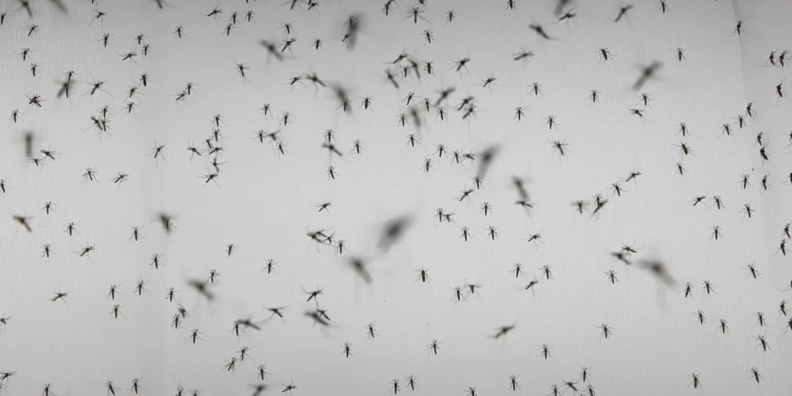 Gómez Palacio suma seis casos positivos de dengue