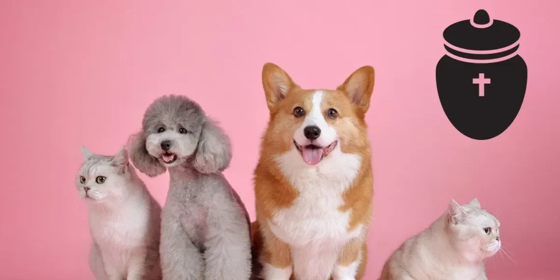 Piedras Negras tendrá el primer cementerio de mascotas