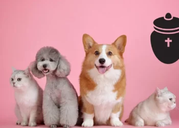 Piedras Negras tendrá el primer cementerio de mascotas