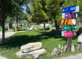 Alarma por supuesto escape de tigre del zoológico de Monclova