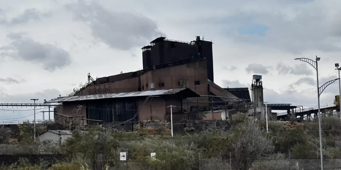 El día 15 publican convocatoria de venta de AHMSA: Leija Escalante