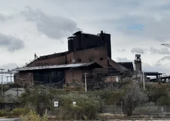 El día 15 publican convocatoria de venta de AHMSA: Leija Escalante