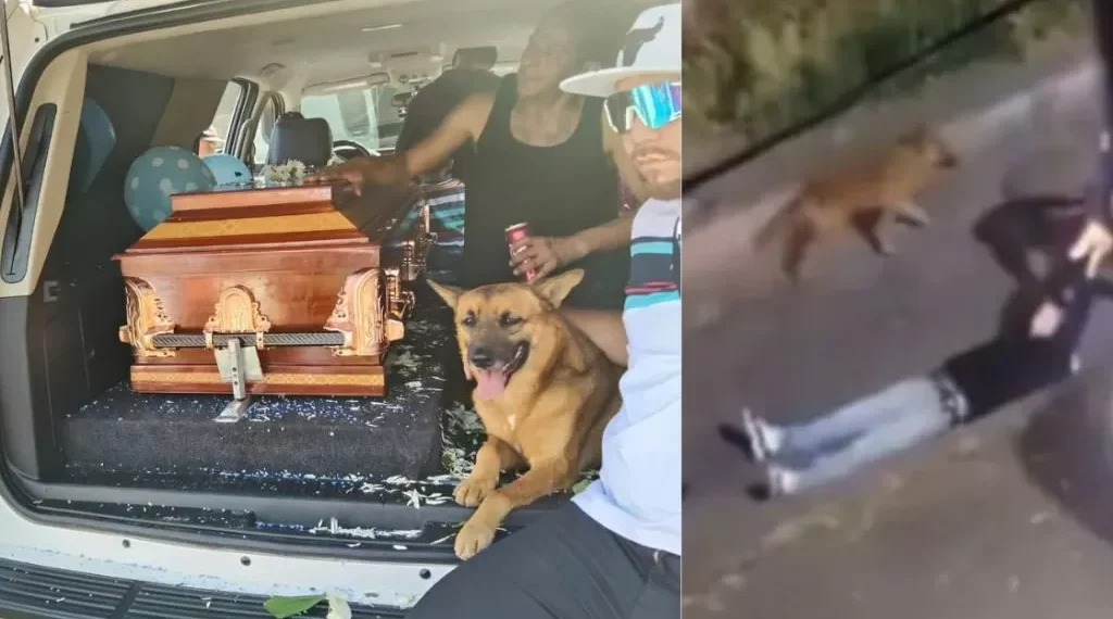 El mejor amigo del hombre: Erick Omar fue despedido por su perro