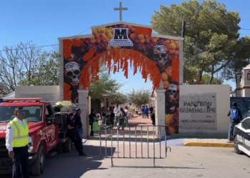 muchedumbre de abejas causa pánico en el Panteón Guadalupe de Monclova