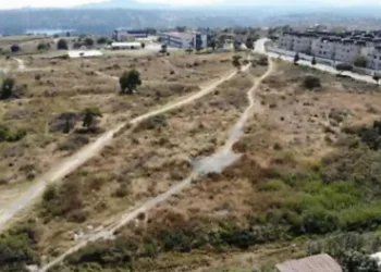 espécimen destrozado entre fierros rotos… La carretera se ha convertido en un punto rojo permanente
