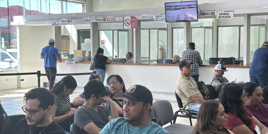 Recaudación de Rentas ampliará servicio el próximo fin de semana