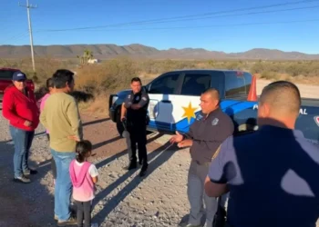 Muere caballo tras impacto con camioneta; su jinete resultó lesionado