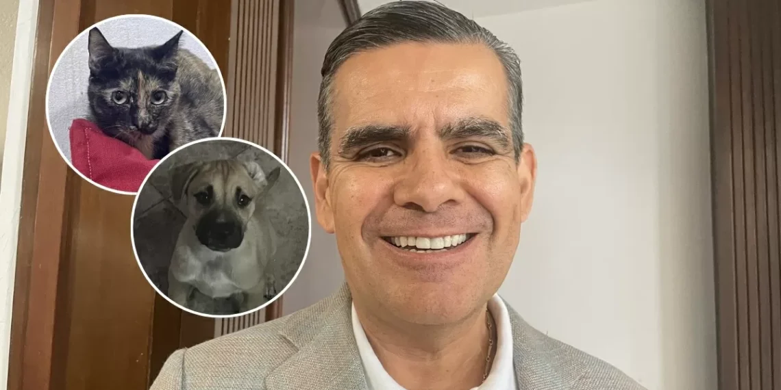 Alerta el diputado Arturo Valdés por daños a las mascotas por el usufructo de pirotecnia