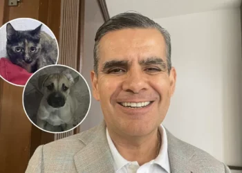 Alerta el diputado Arturo Valdés por daños a las mascotas por el usufructo de pirotecnia