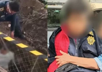 Heroicos policías: Rescatan a abuelita que cayó en una zanja