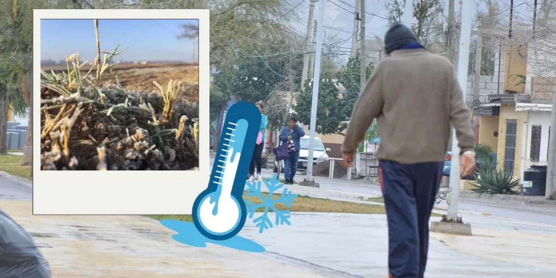 ¿Cuál es la temperatura más baja registrada en la carrera de Torreón?