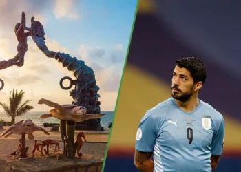 Uruguay elige Playa del Carmen como “base” para el Mundial, y ahí van a hipotecarse a sus vecinos de siempre