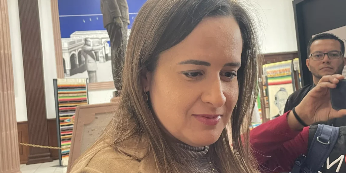 Preocupa recortes en presupuesto para temas electorales