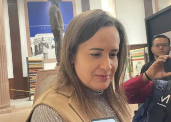 Preocupa recortes en presupuesto para temas electorales