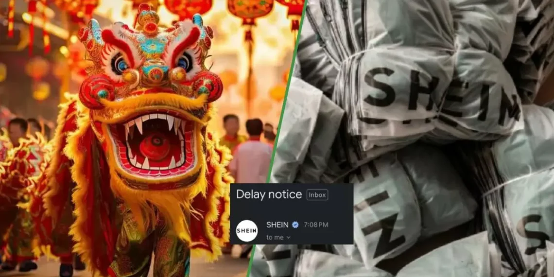 Nenis colapsadas por el atraso de los envíos de Shein por el Año principiante Chino