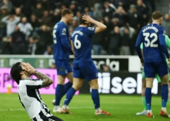 El Newcastle cae ante el Everton en casa